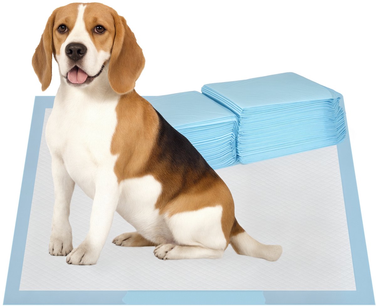 PawHut Hondentrainingsmat - Non-woven stof - 60x60cm - Blauw