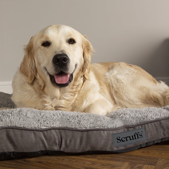 Scruffs Cosy - Comfortabel hondenkussen - Met imitatie suède buitenvoering en superzachte binnenvoering - Grijs - 100 x 70 cm