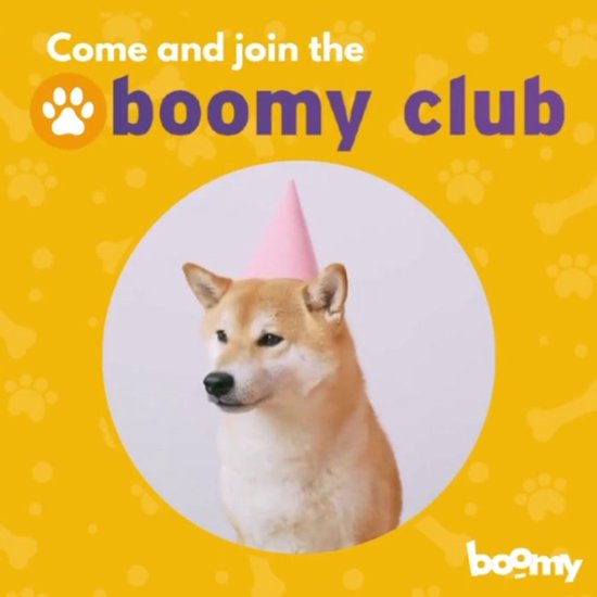 Boomy - Snacks pour chiens - Snack récompense - Kip & patate douce - 3 x 100g