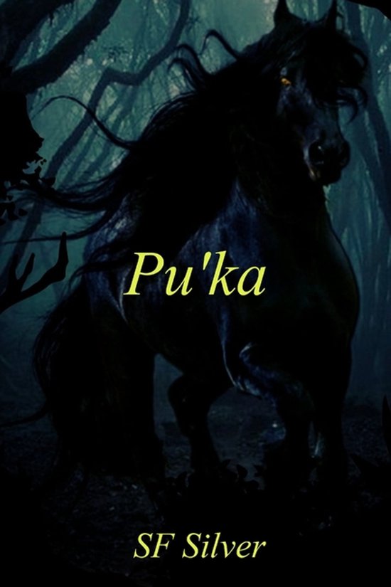 Pu'ka - cover
