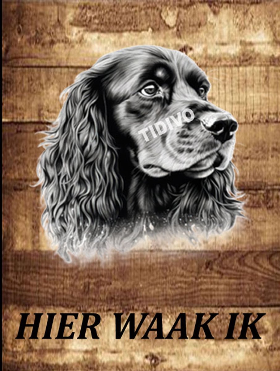 Ierse Water Spaniel 20