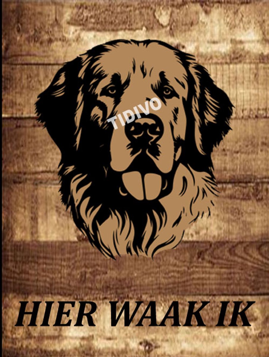 Kuvasz 20