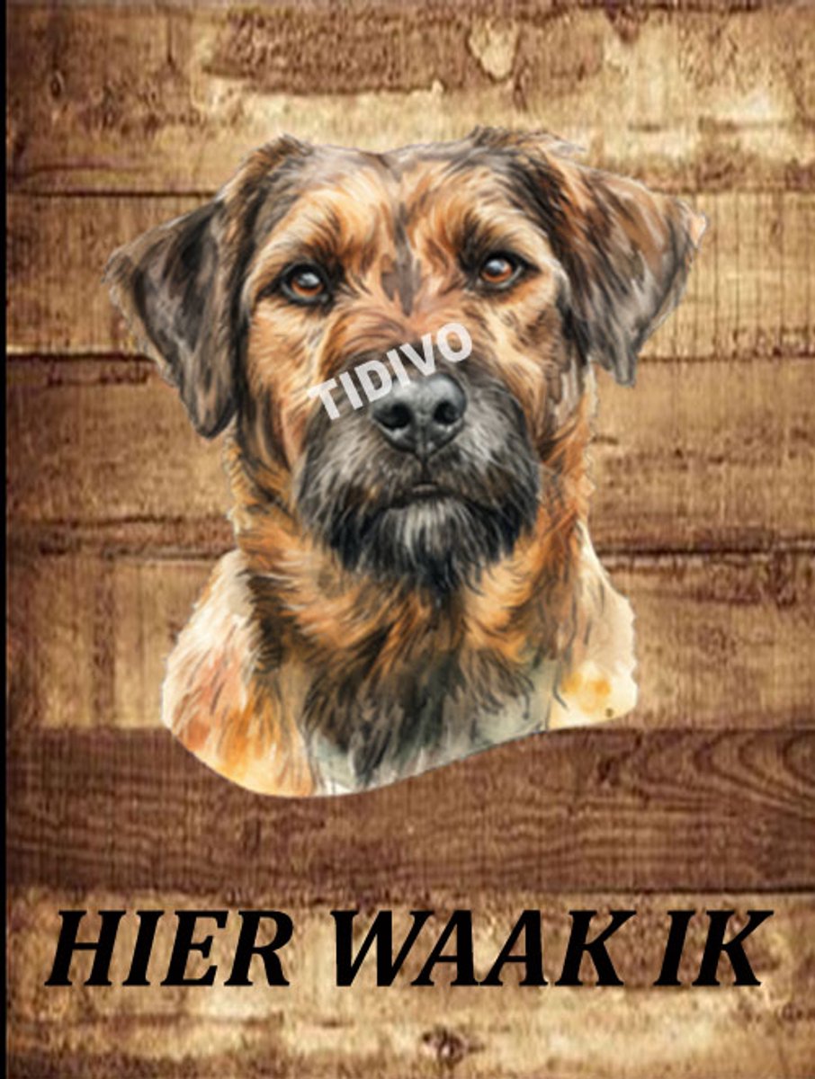 Kromfohrländer 20