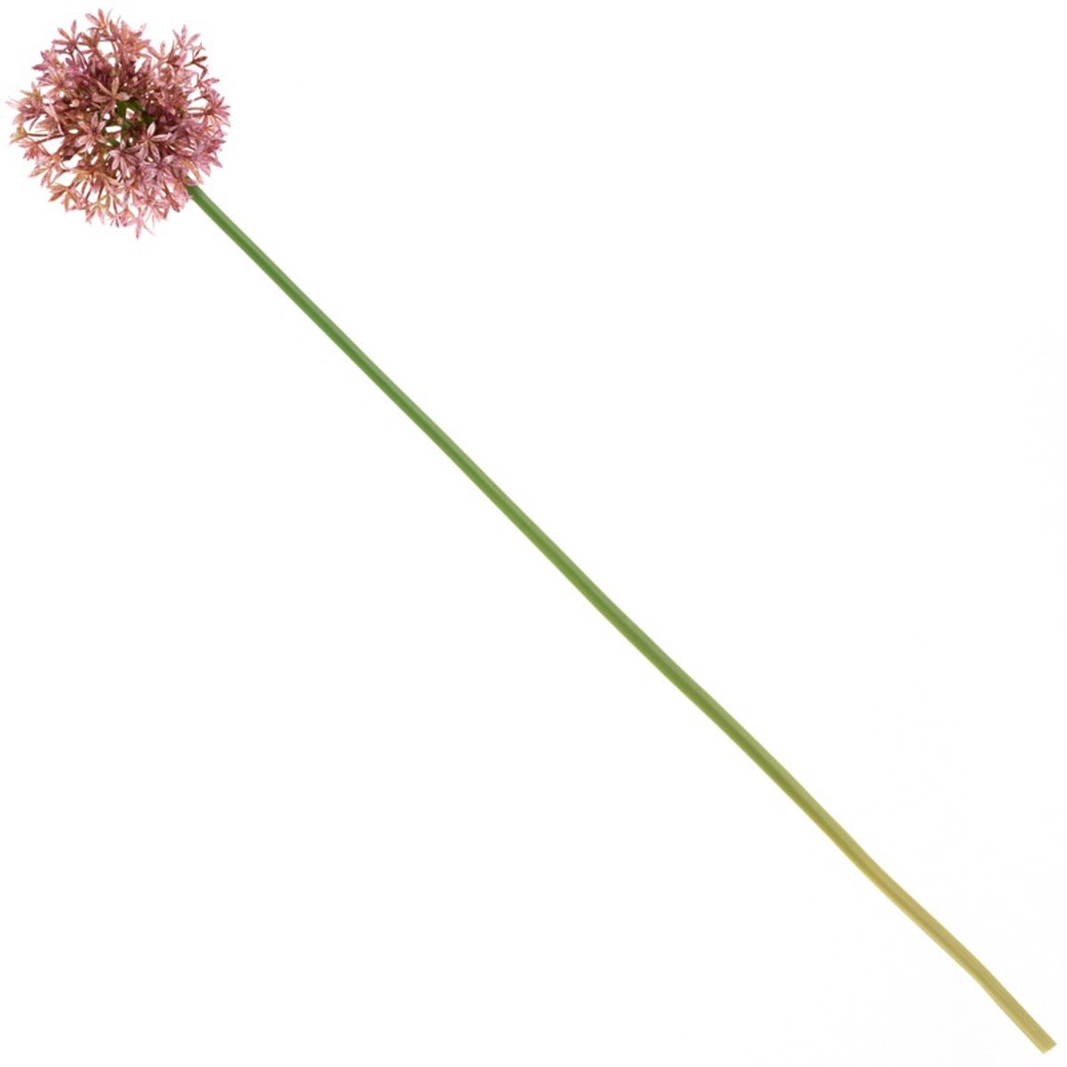 homebound by ky Kunstbloem lente-ui bol 68cm fuchsia Roze