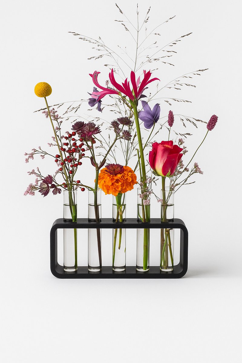 Moderne Zwarte Houder met 5 Glazen Vaasjes – Stijlvolle Decoratieve Set voor Stekjes, Bloemen en Droogbloemen