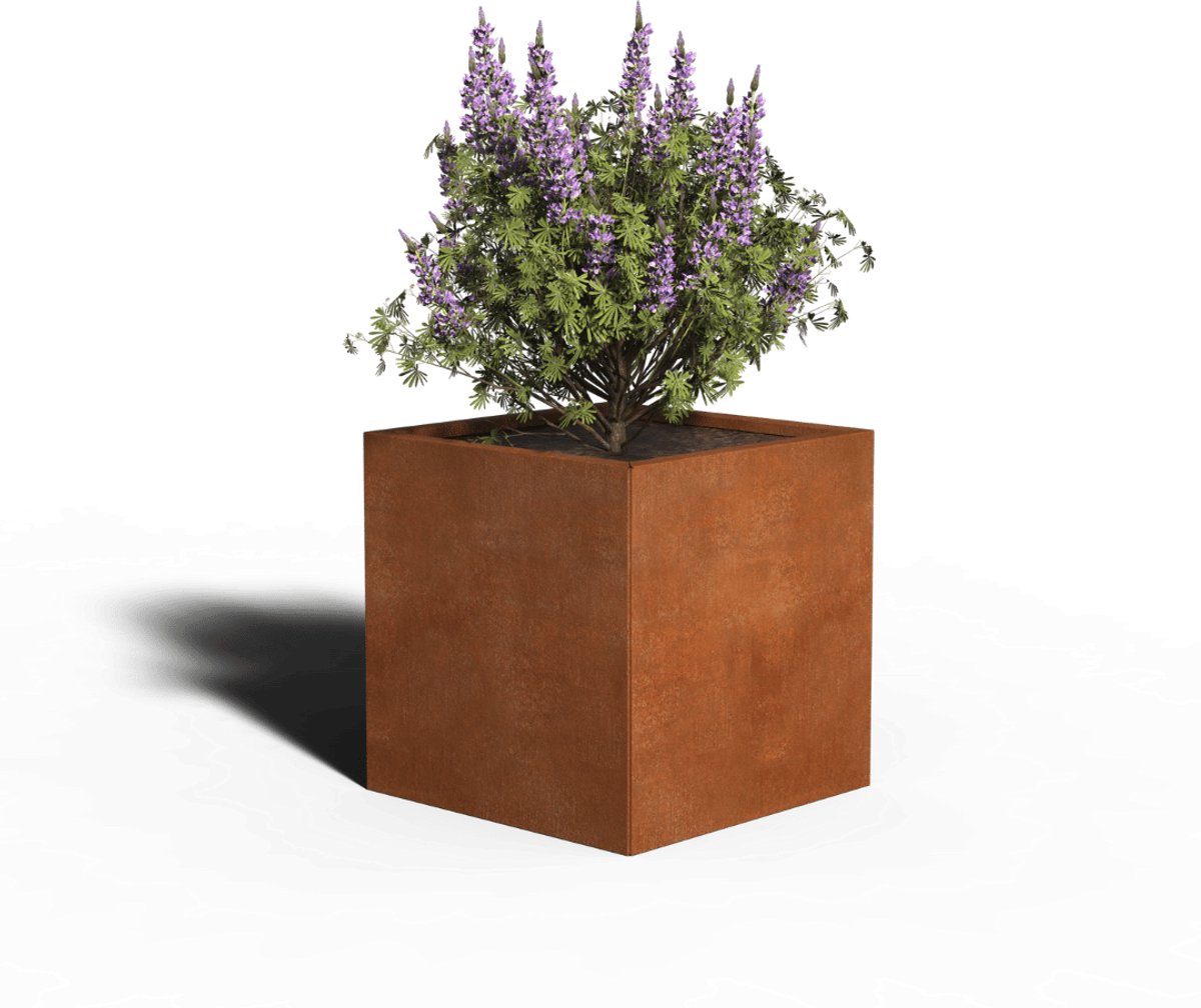 Cortenstaal Plantenbak Vierkant | 60 x 60 x 60 | Zonder bodem