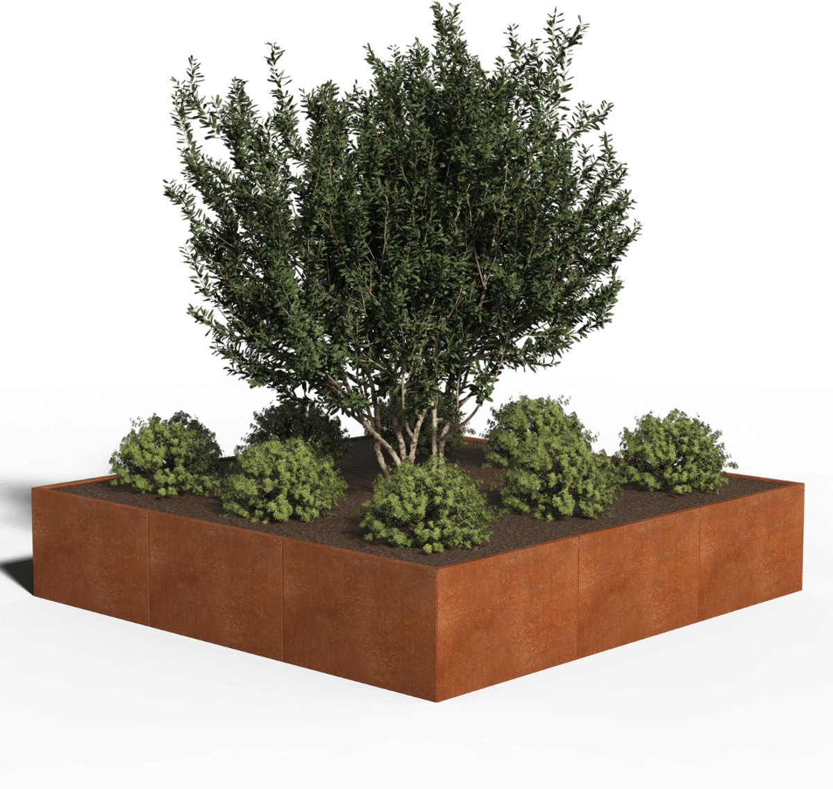 Cortenstaal Plantenbak Vierkant | 300 x 300 x 30 | Zonder bodem