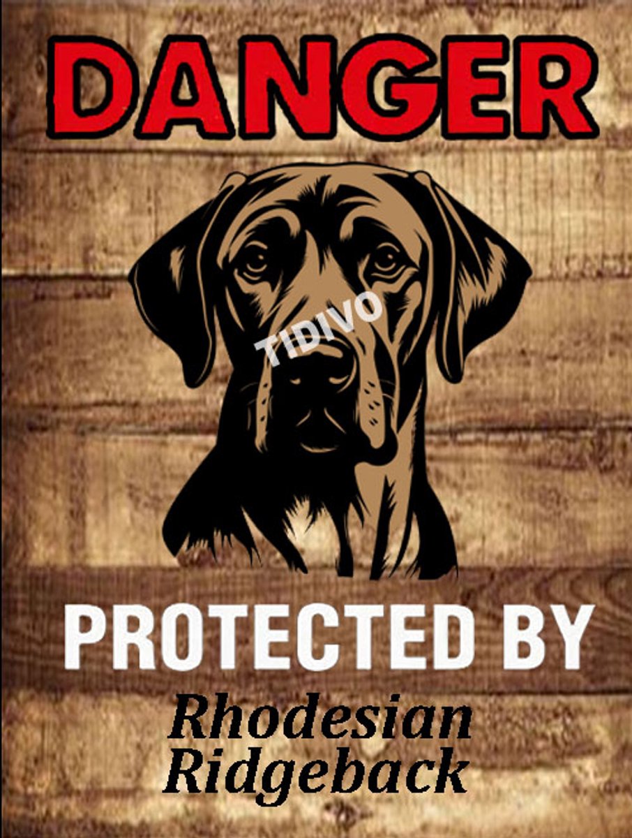 Rhodesian Ridgeback 19
