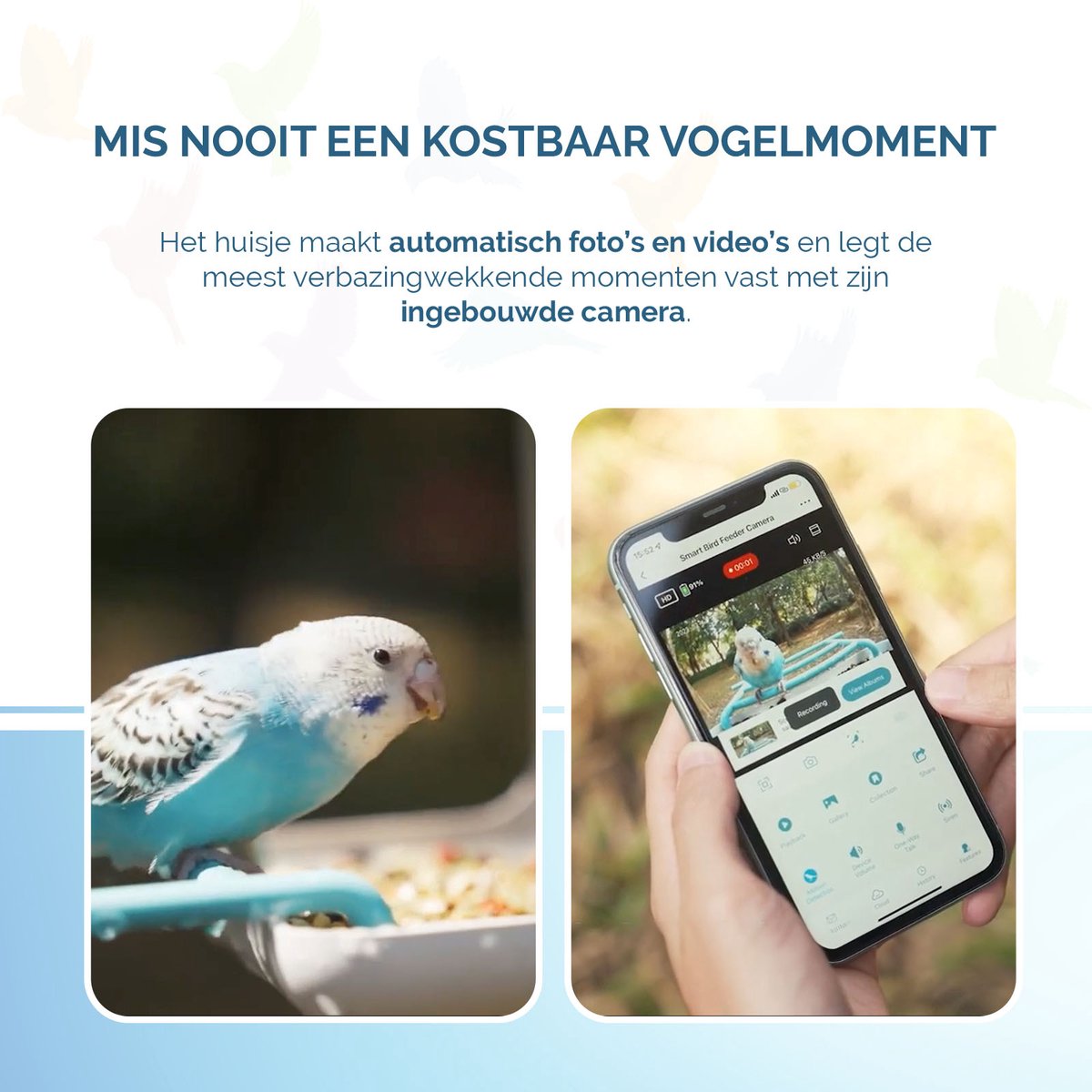Vogelvoedercamera voor Buiten, Smart HD Vogelkijkcamera, Upgrade 10 LED Vogelvoedercamera voor Buiten, Smart HD Vogelkijkcamera, Upgrade 10 LED