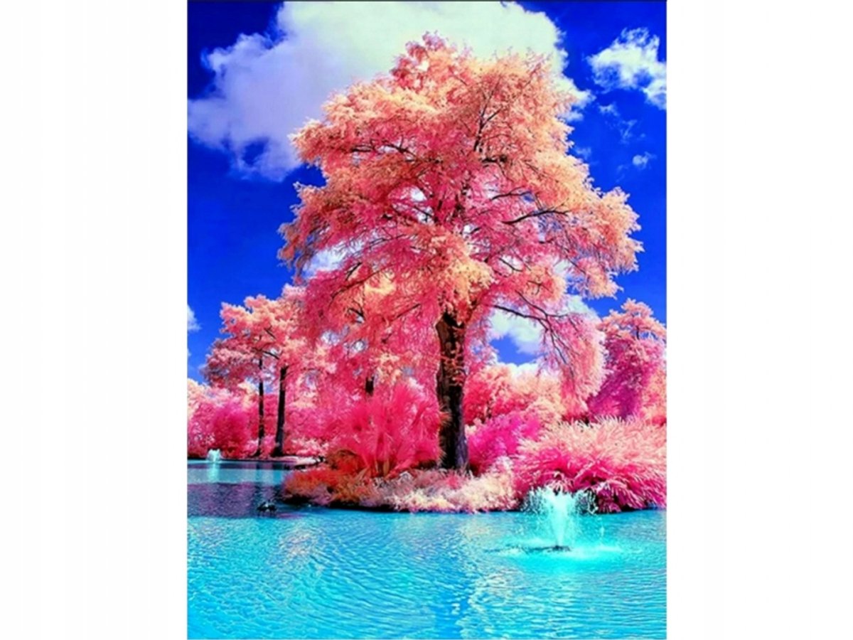 Diamond Painting Kit: Sprookjesboom 30x40cm