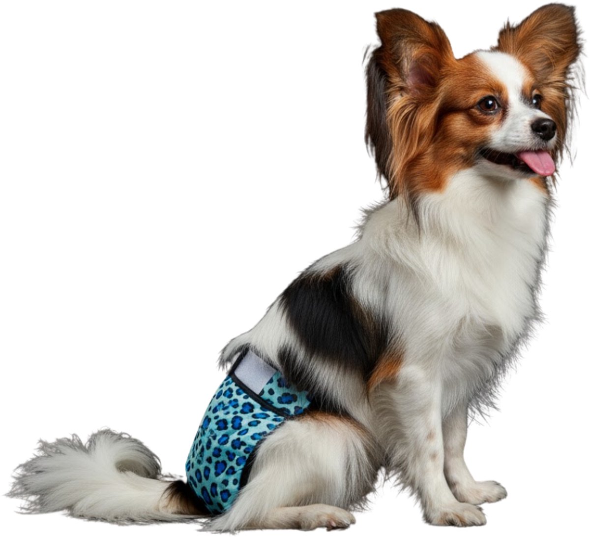 Loopsheidbroekje hond - luipaard blauw - maat XS - voor hele keine honden - herbruikbaar - hondenbroekje - hondenluier - loopsheid - ongesteldheid - voorkomt ongewenste zwangerschappen bij teefjes - milieuvriendelijk - verantwoord - perfecte pasvorm