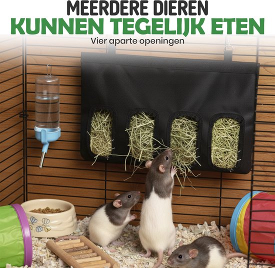 Hooiruif konijn kopen? Slim & veilig hooi voeren - D-tails