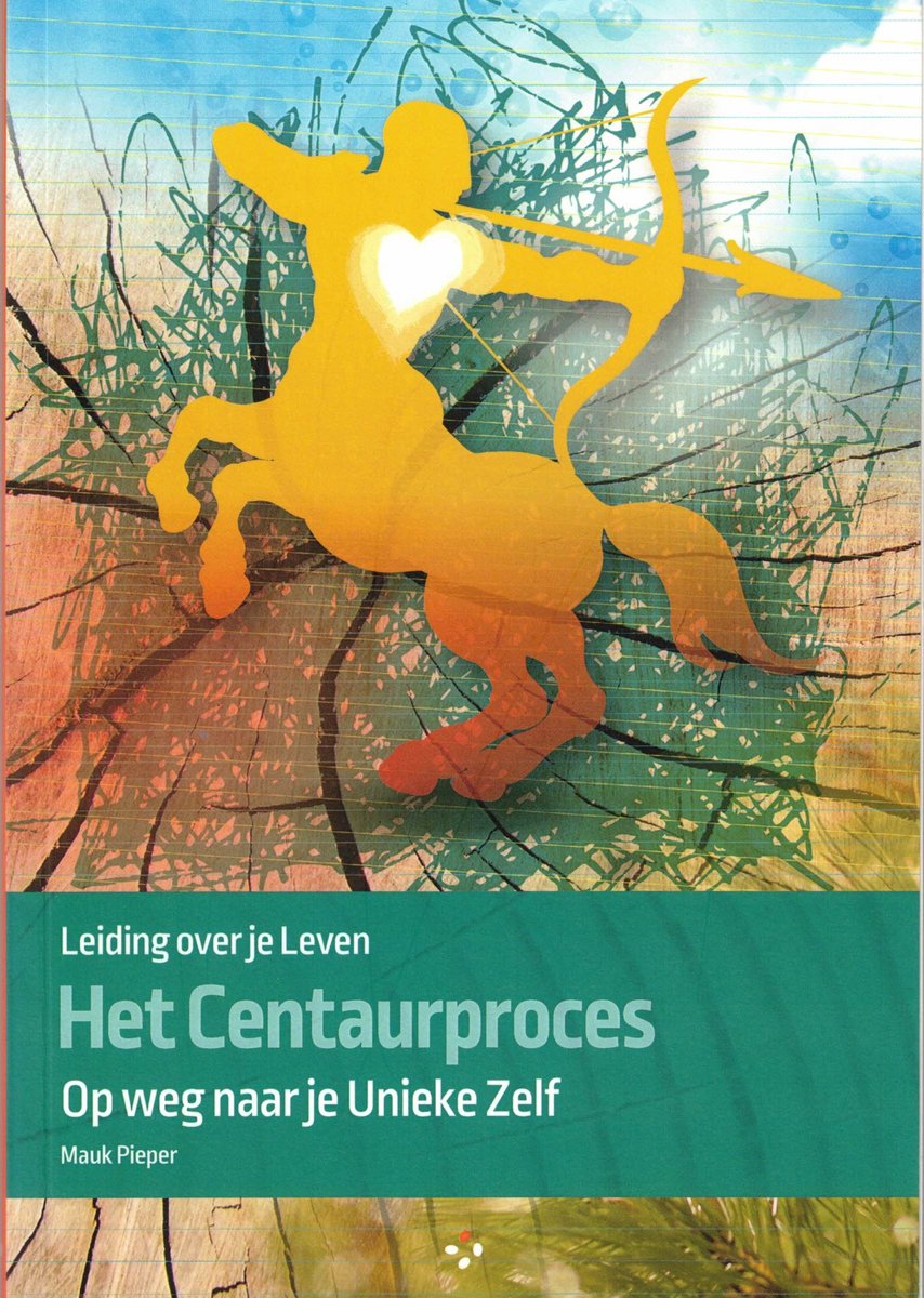 Leiding over je leven - Het Centaurproces - Op weg naar je unieke zelf