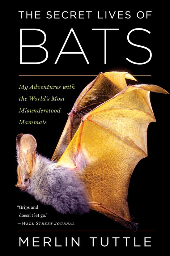 Boekomslag: "The Secret Lives of Bats" met een vleermuis met bruine vleugels op een zwarte achtergrond.