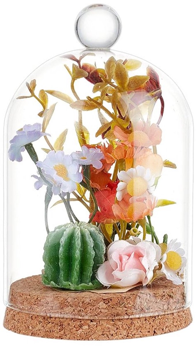 Glazen display koepel 14,4 x 9 cm met kurken basis - Decoratieve pot voor planten en specimens