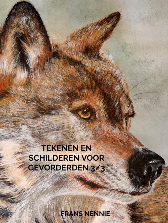Tekenen en schilderen voor gevorderden 3/3 - cover