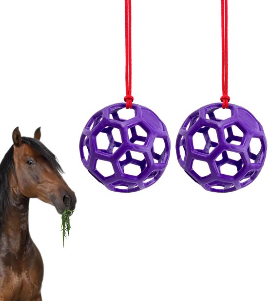 Paars, honingraatvormig, hangend speelgoed voor dieren, gevuld met gras. Een paard eet gras ernaast.