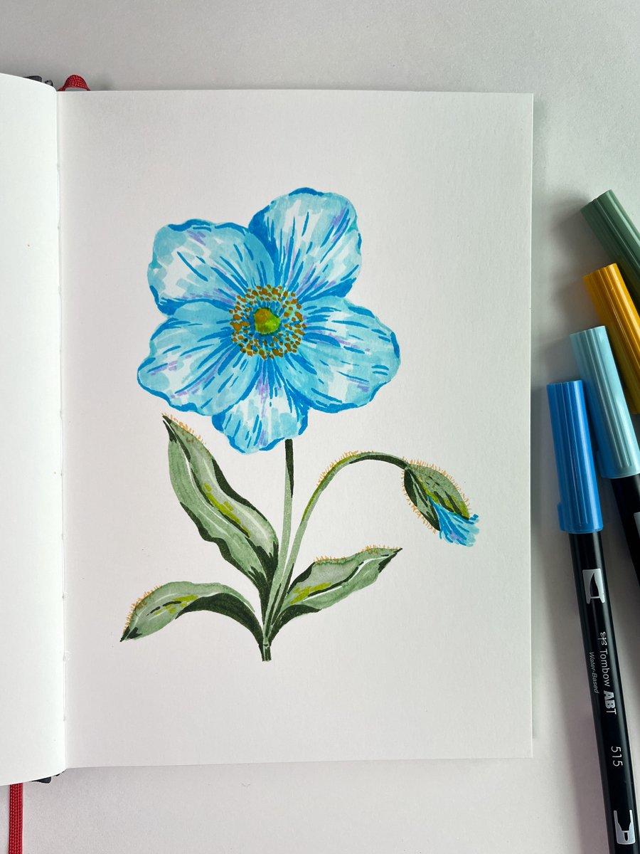 Tombow brush pen - ABT 401 - Dual Brushpen - Aqua - Blauw — afbeelding 5