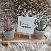 Robuust Wenstegeltje - Powervrouw – Luxe Cadeautegel met Tekst – Perfect Cadeau voor verjaardagen, vriendinnen, collega’s of als motivatie voor jezelf - Trendy nu – 10X10 – Decoratief Tegeltje met Standaard – Cadeau Idee