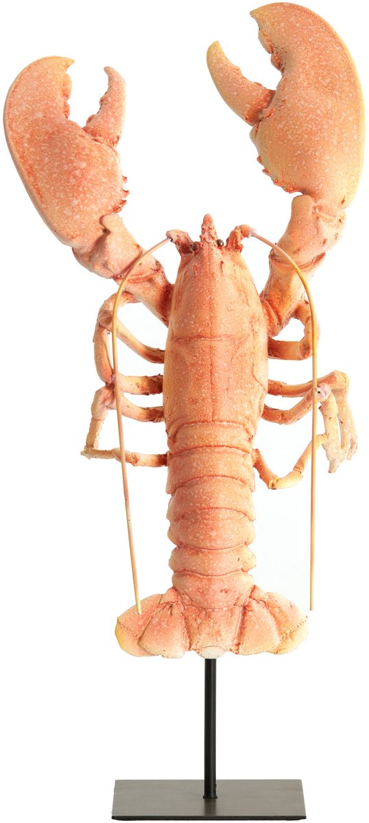 Light&living Ornament op voet 25x14x56,5 cm LOBSTER licht koraal