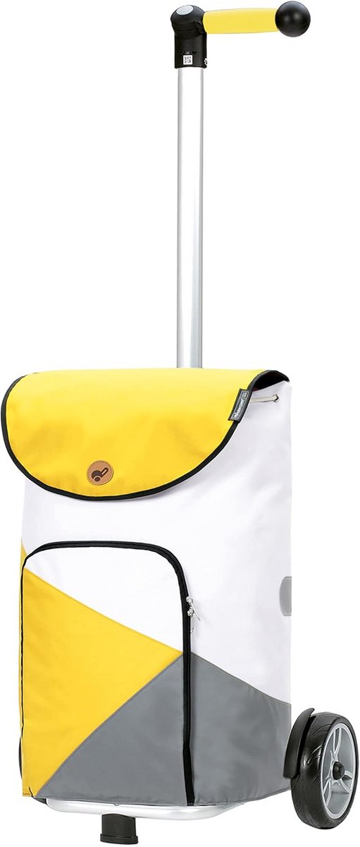 Inklapbare boodschappentrolley met grote wielen en 47 liter tas, hoogte verstelbaar
