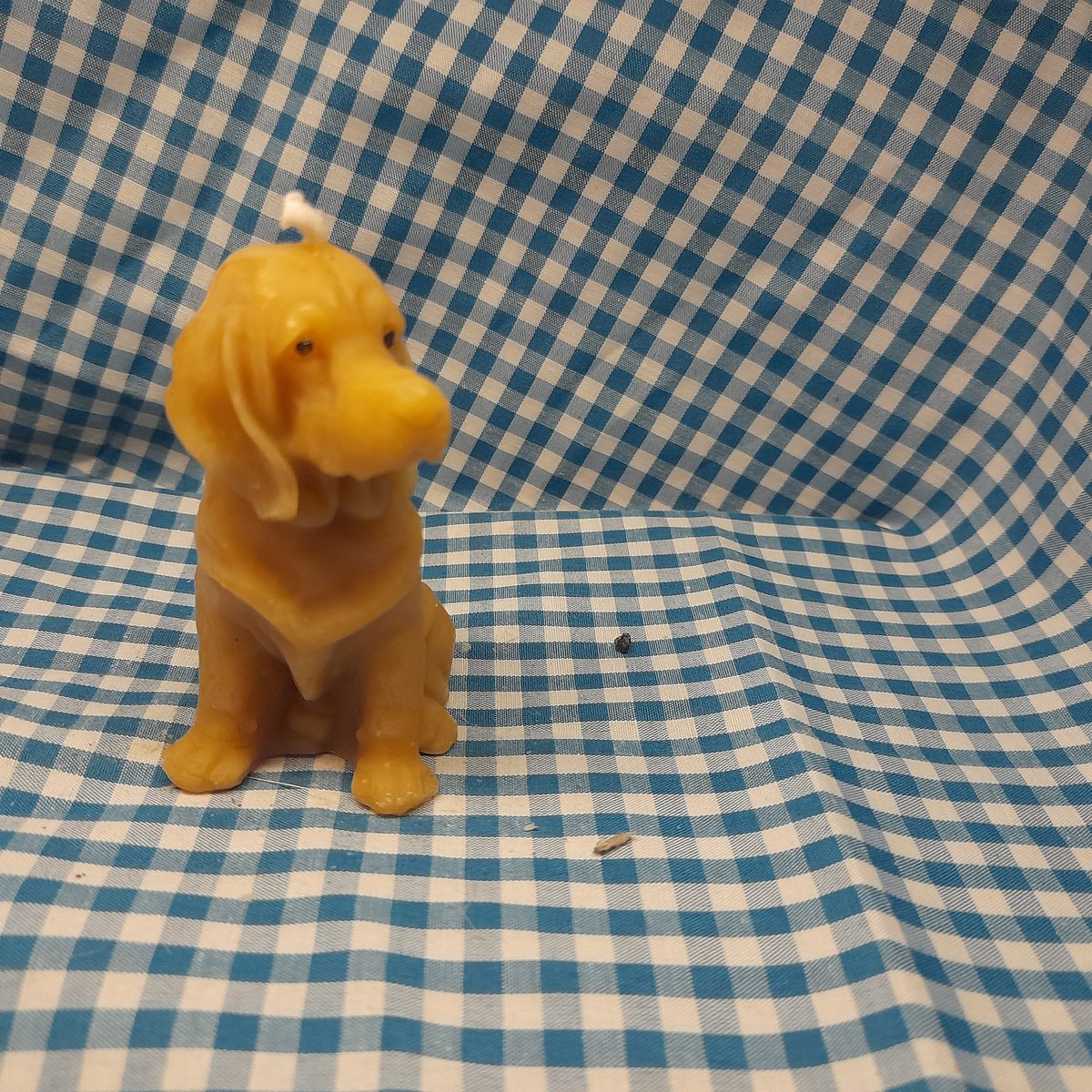 Bijenwas kaars, hond, jachthond