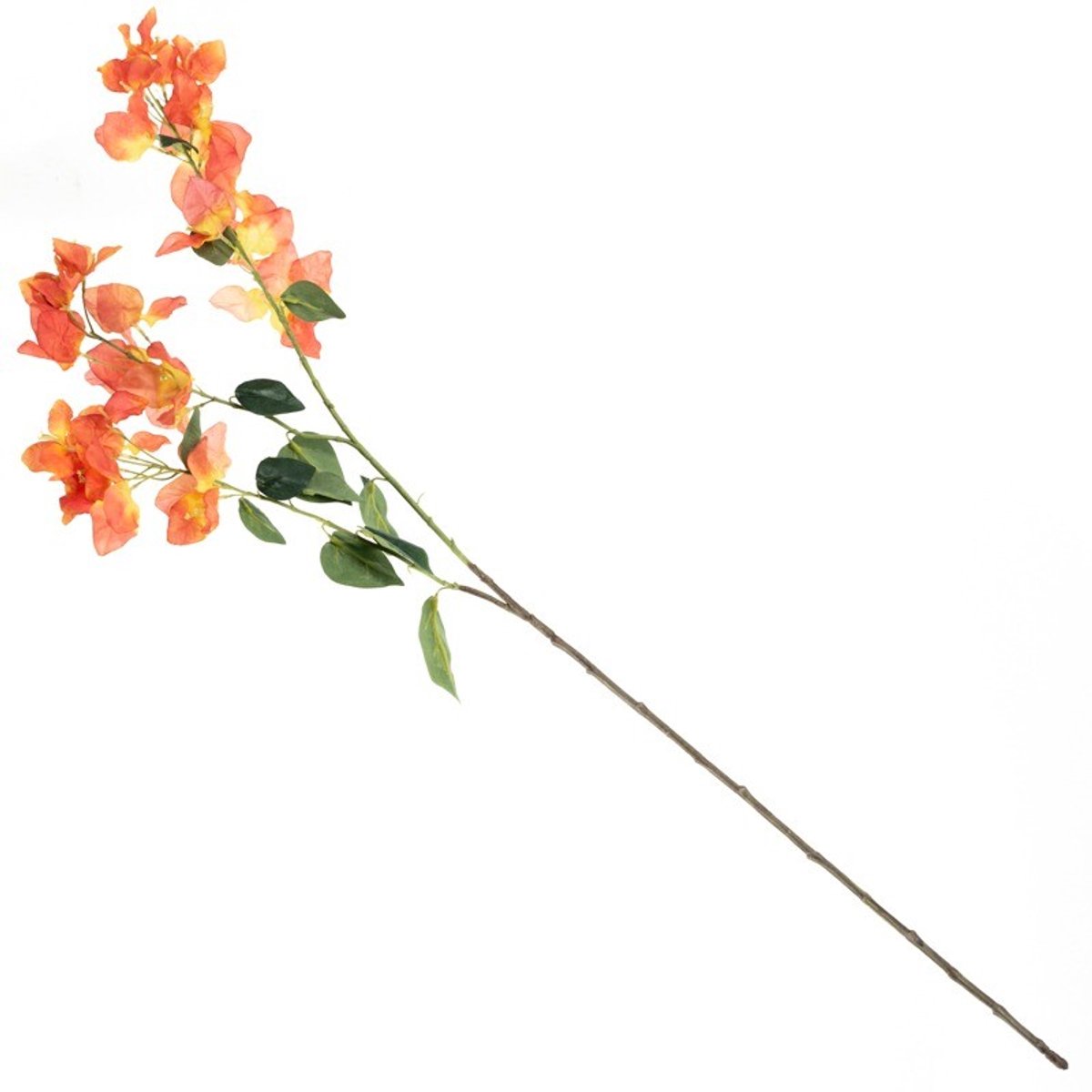 homebound by ky Kunsttak Bougainville 105cm oranje