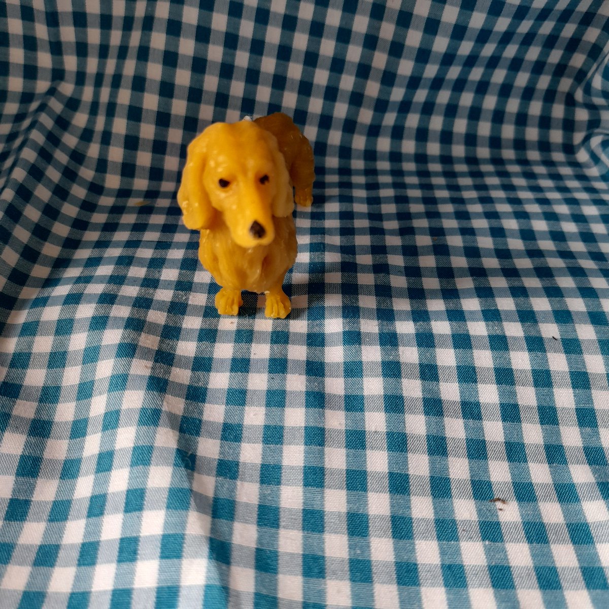 Bijenwas kaars, hondje, teckel