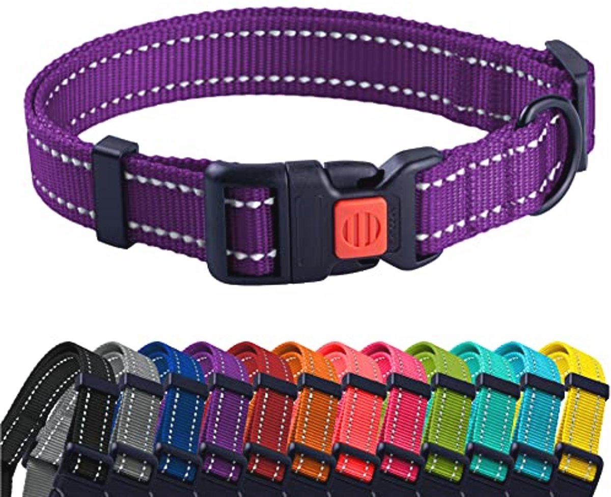 Reflecterende nylon halsband voor honden - Verstelbare en veilige puppy kraag in paars