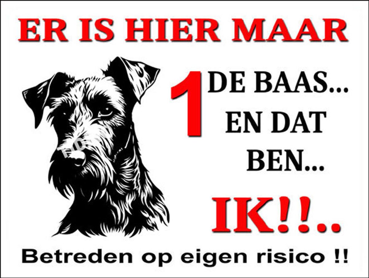 Ierse Terrier 26
