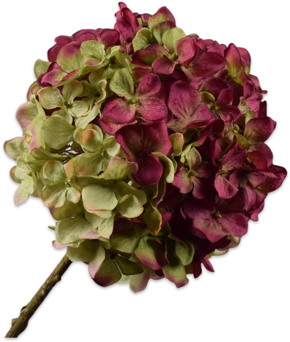 Silk-ka Hortensia tak burgury/groen 70 cm rood