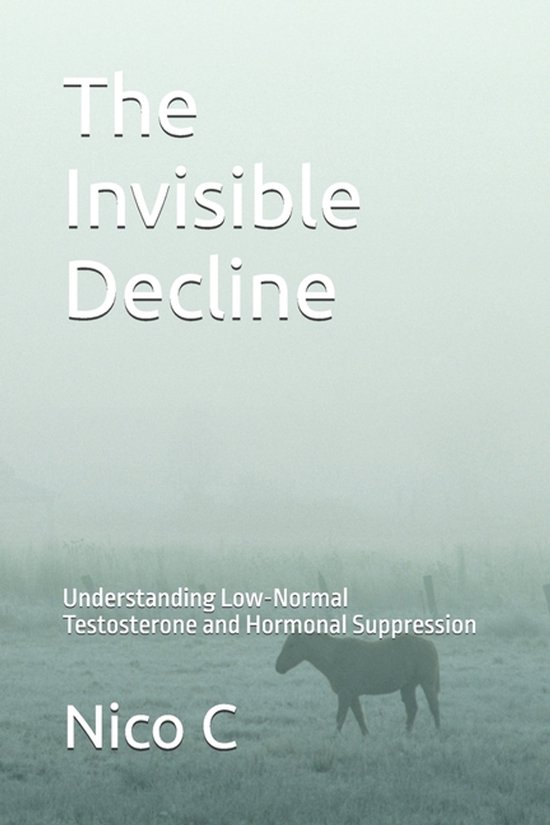 The Invisible Decline - cover