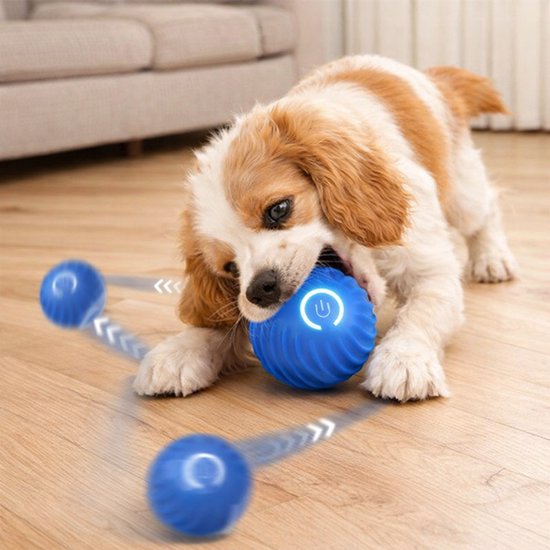 Interactieve Springbal voor Honden - Slim Hondenspeelgoed - Duurzaam TPR - Oplaadbare Elektrische Speelbal – Voor Kleine en Middelgrote Honden - Blauw - 1 Stuk