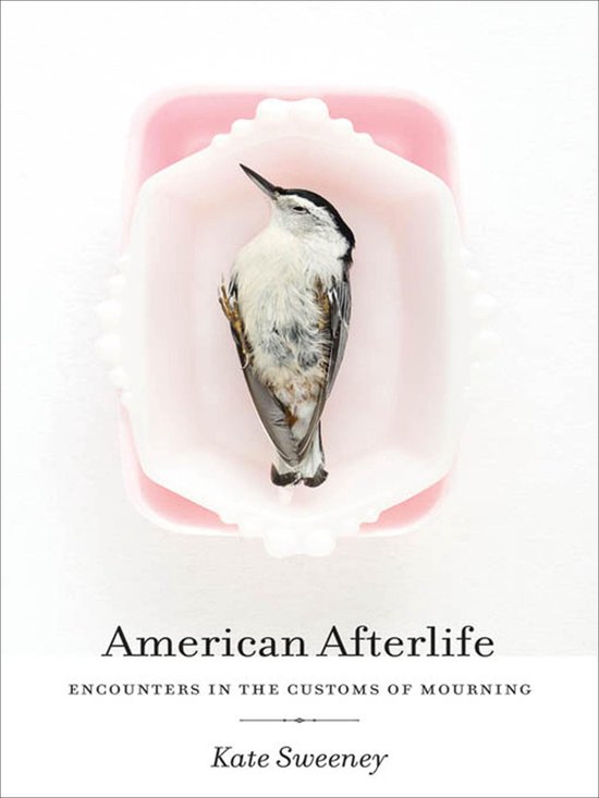 American Afterlife - cover