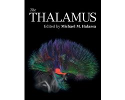 The Thalamus