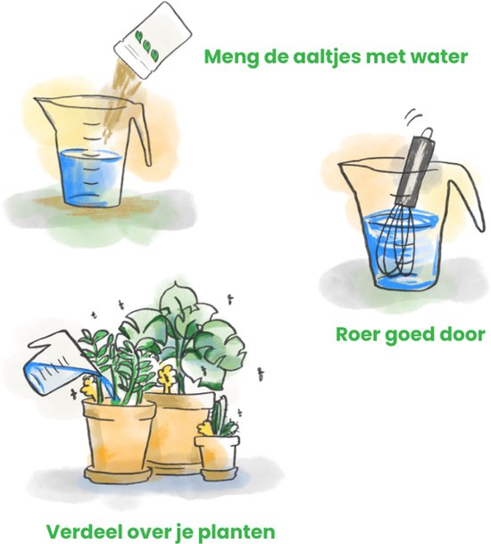 Illustratie van drie stappen: Aaltjes mengen met water, goed doorroeren en verdelen over planten.