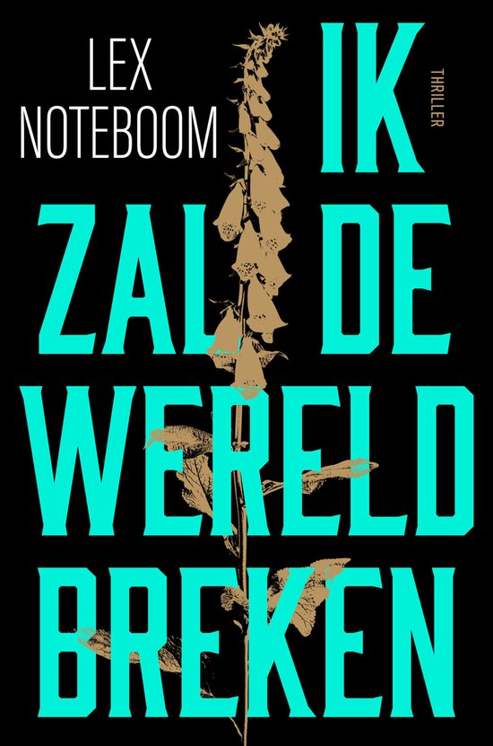 Ik zal de wereld breken - cover
