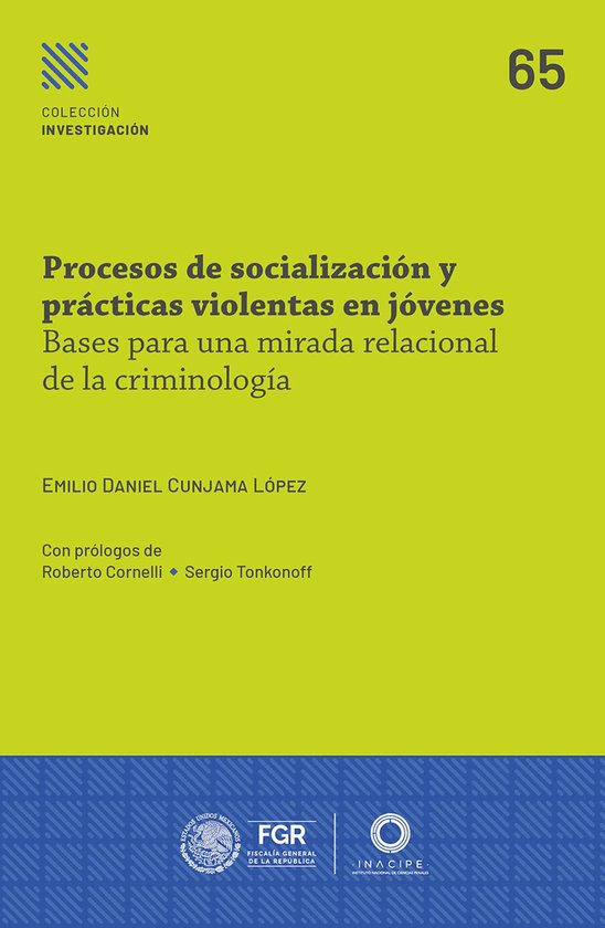 Procesos de socialización y prácticas violentas en jóvene ... - cover