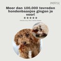 Bruine hond met een snack in zijn bek en een close-up van een andere hond die een snack eet.