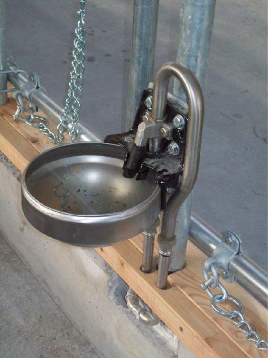 Suevia drinkbak Model 1200 messing ¾"
