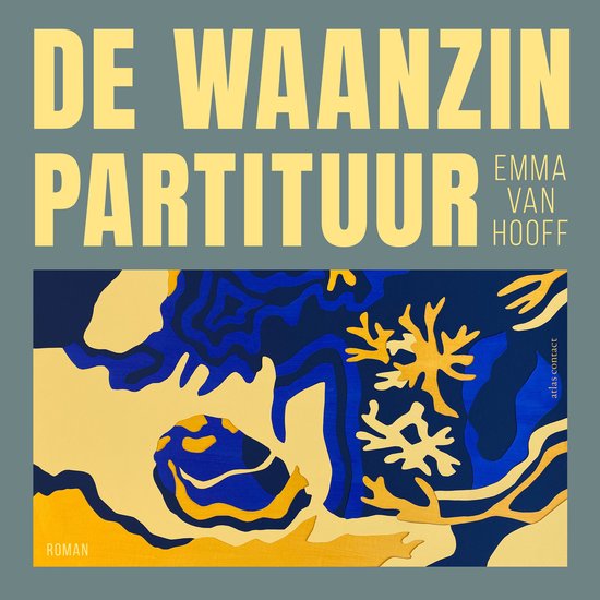 De waanzinpartituur - cover