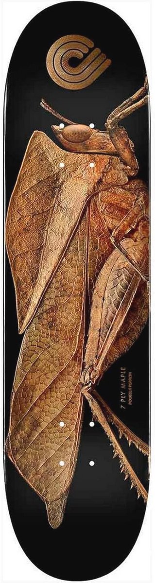 Skate Deck 8 5 x 32 08 cm Standaard Vorm van 100% Esdoorn Zwart