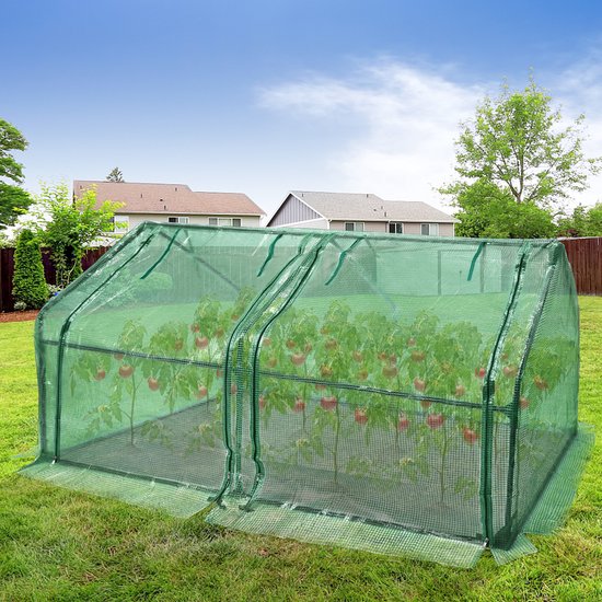 Groene mini-kas met dubbele deur, gevuld met tomatenplanten.