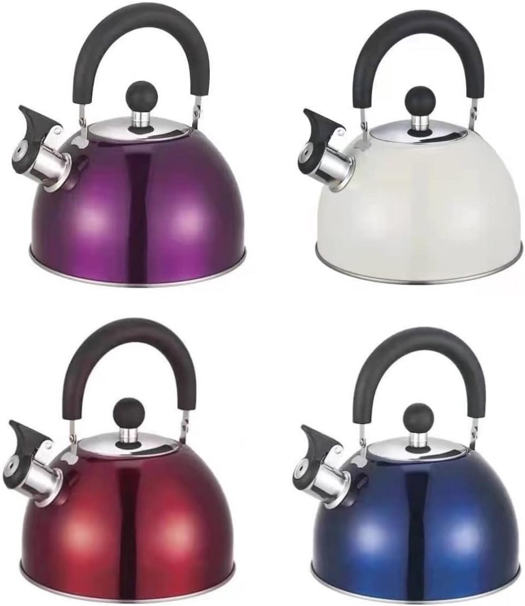Inductie RVS Waterkoker met Pijp (2,5 L) voor Koken en Kamperen - Verwarmbestendig en Antislip Ontwerp