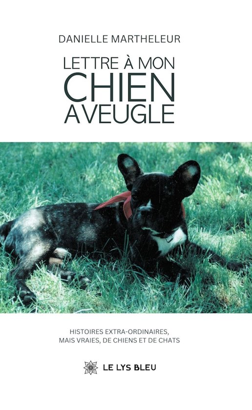 Lettre à mon chien aveugle - cover