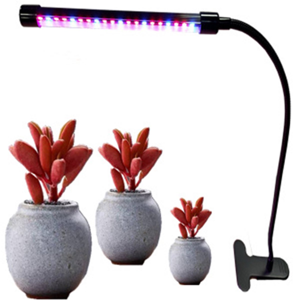 Gigicial LED-Kweeklamp - Plantenlamp Voor Kamerplanten - Versnelt Groei Met Volledig Spectrum En Timer - 1 Stuk - Thuis/Op Kantoor+Meerdere Kleuren