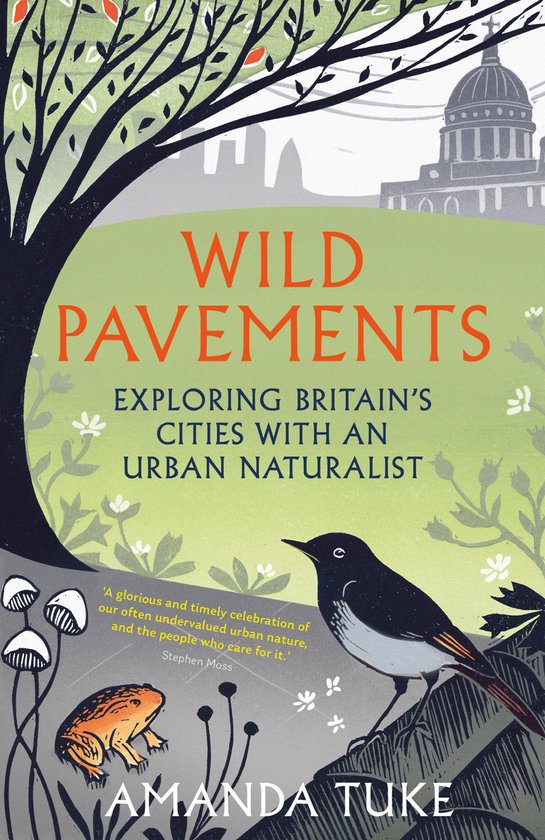 Wild Pavements - cover
