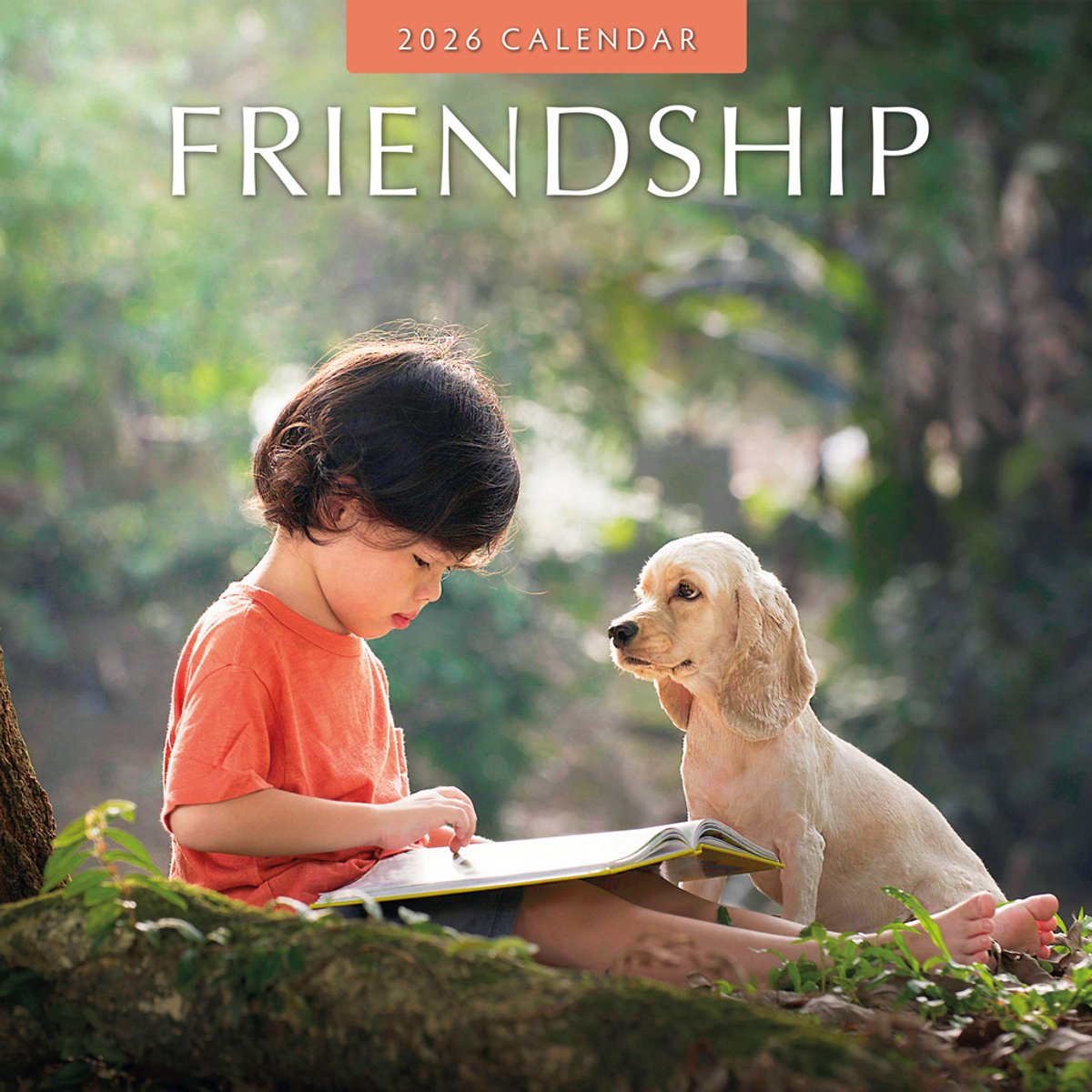 Red Robin Kalender 2026 - Friendship