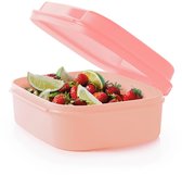 Tupperware Boîte à saucisses Rouge