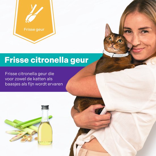 Vrouw met ABYSSINIAN kat, met witte halsband. Tekst "Frisse citroengeur". Een flesje olie en citroengras op de voorgrond.